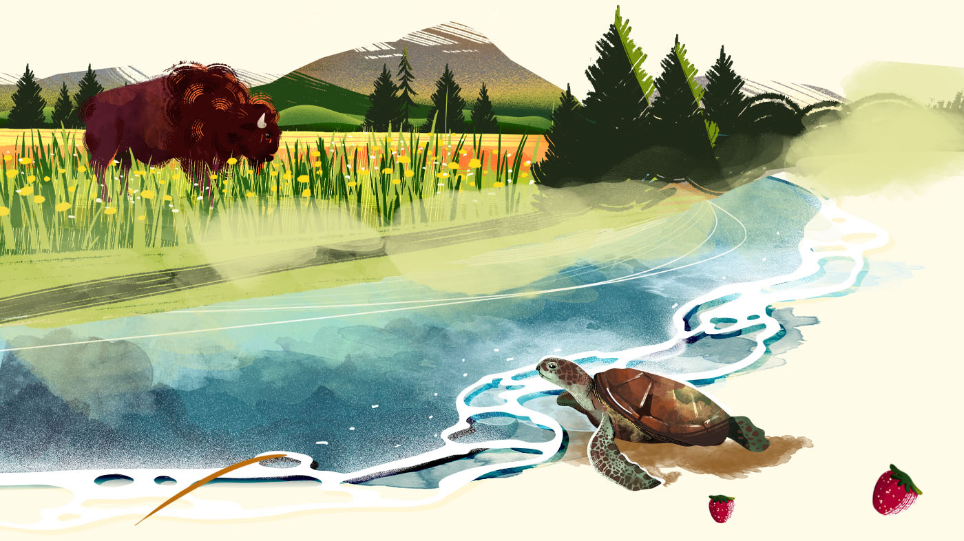 WWF - animals by the river illustration